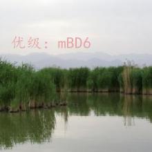 ź