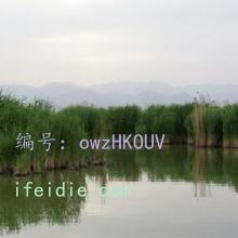 ź