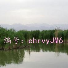 ź
